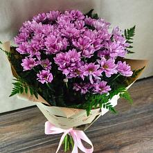 Букет цветов из:  Хризантемы #REPLACE_PRED# Неверкино